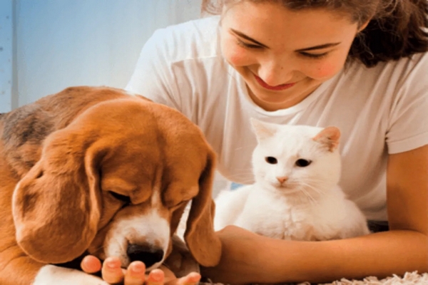 Pets